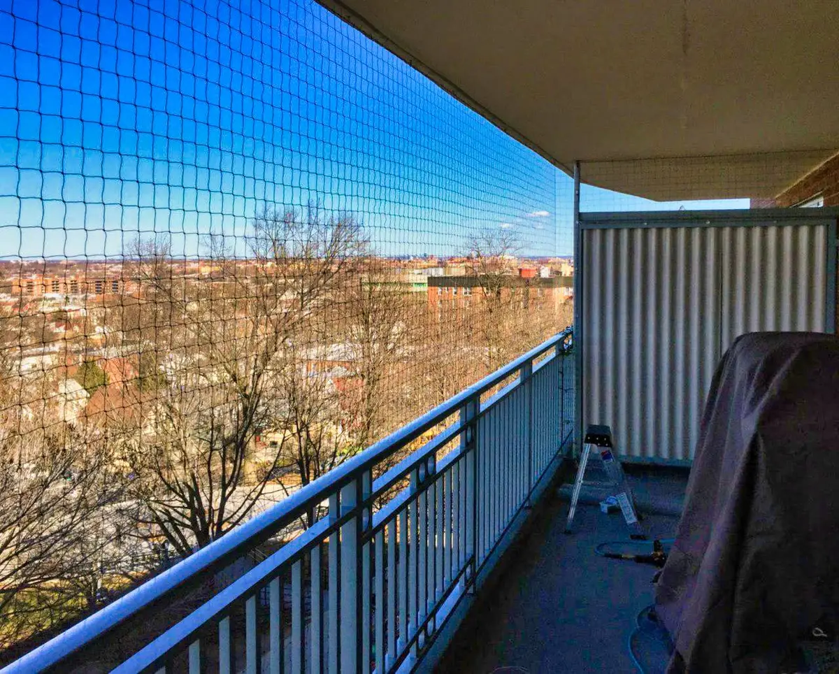 Bird netting balcony