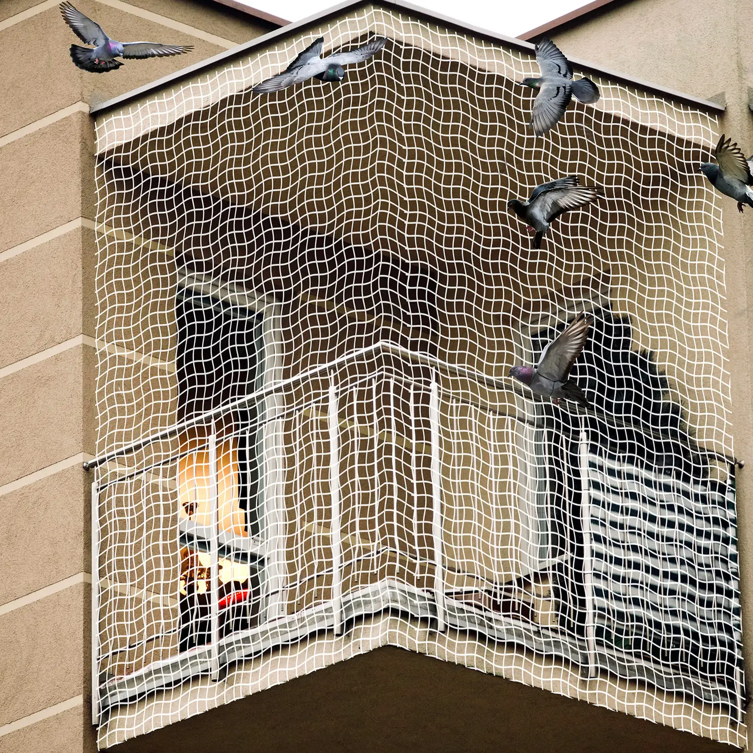 Pigeon net installation